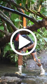 BIB:  <button type="button" onclick="openModal(27808926)" class="btn btn-primary btn-sm float-right" data-toggle="modal" data-target=".modal-high-quality">
                <i class="fa fa-download"></i> Download
                </button>